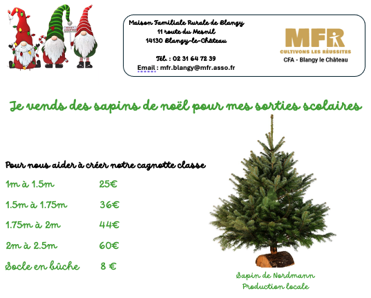 Vente de sapins par les 3èmes Multi