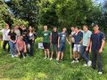 Une ruche à Blangy
