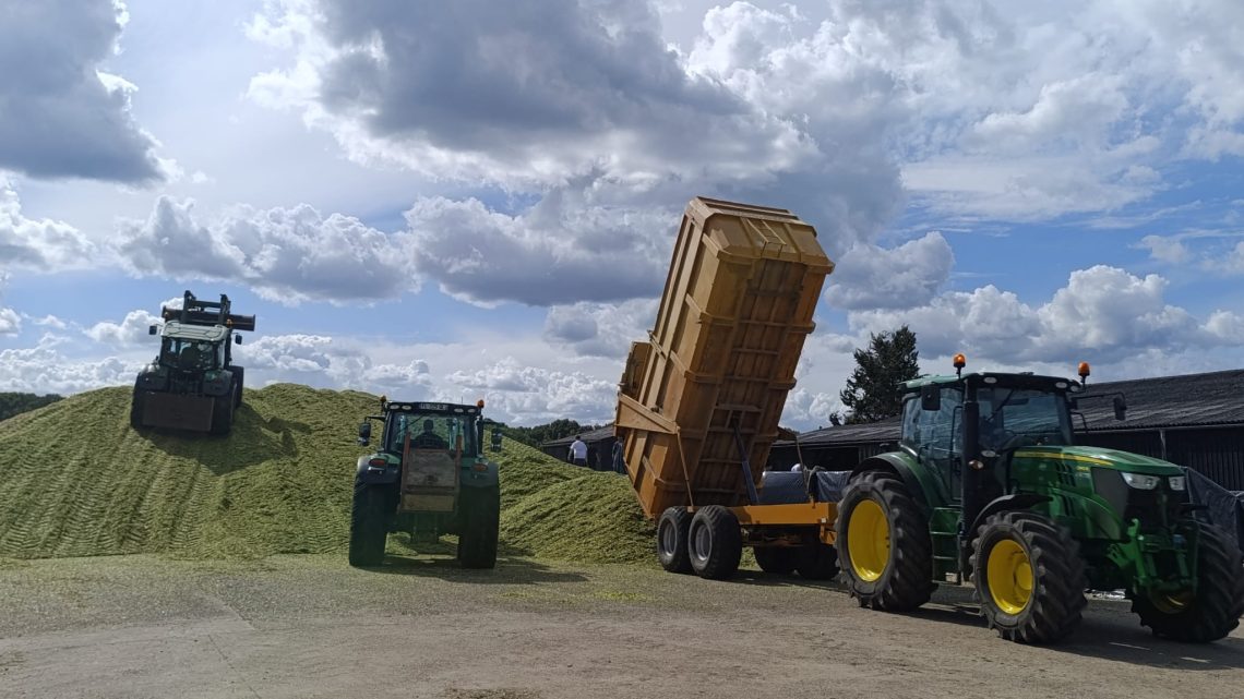 Ensilage pour les 2ndes Agri
