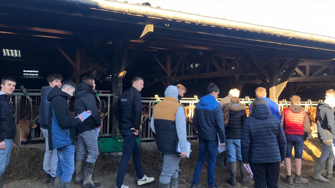 Les 1ère CGEA chez M. Aubert