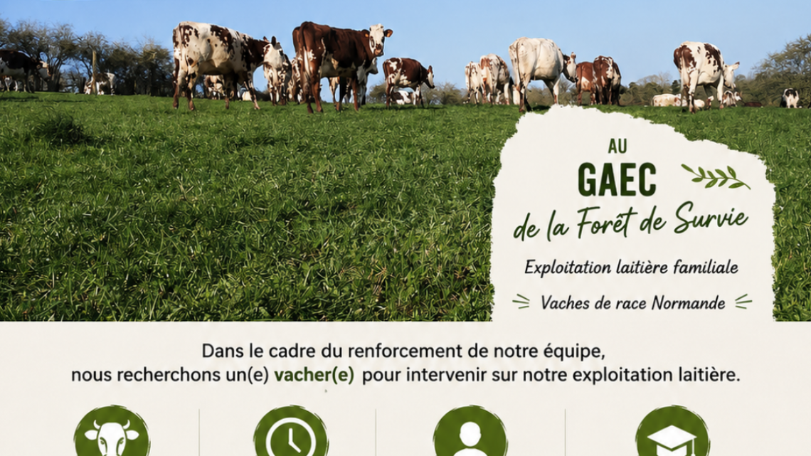 Le GAEC de la Forêt de Survie recherche une vachère/un vacher