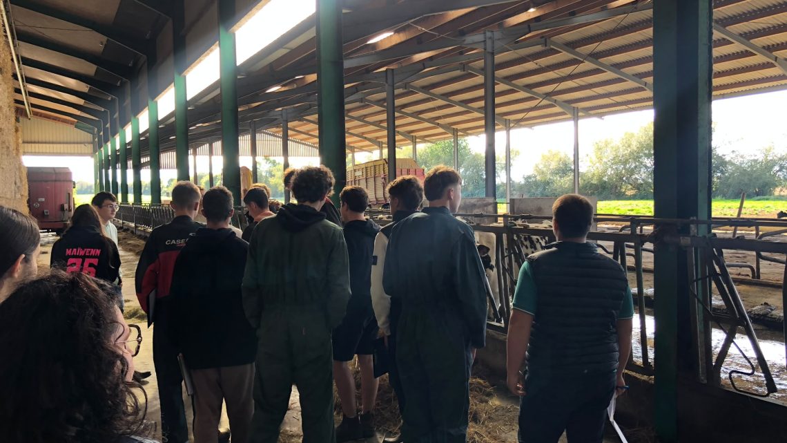 Visite exploitation agricole